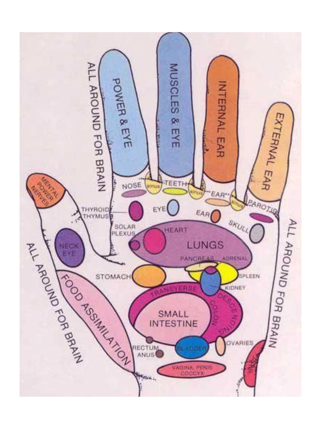 HAND REFLEXOLOGY CHART - Etsy