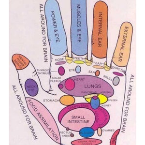 HAND REFLEXOLOGY CHART
