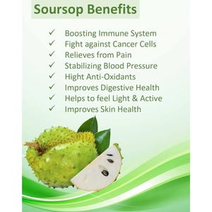 Soursop benefits, cancer fighting cell rejuvenating fruit