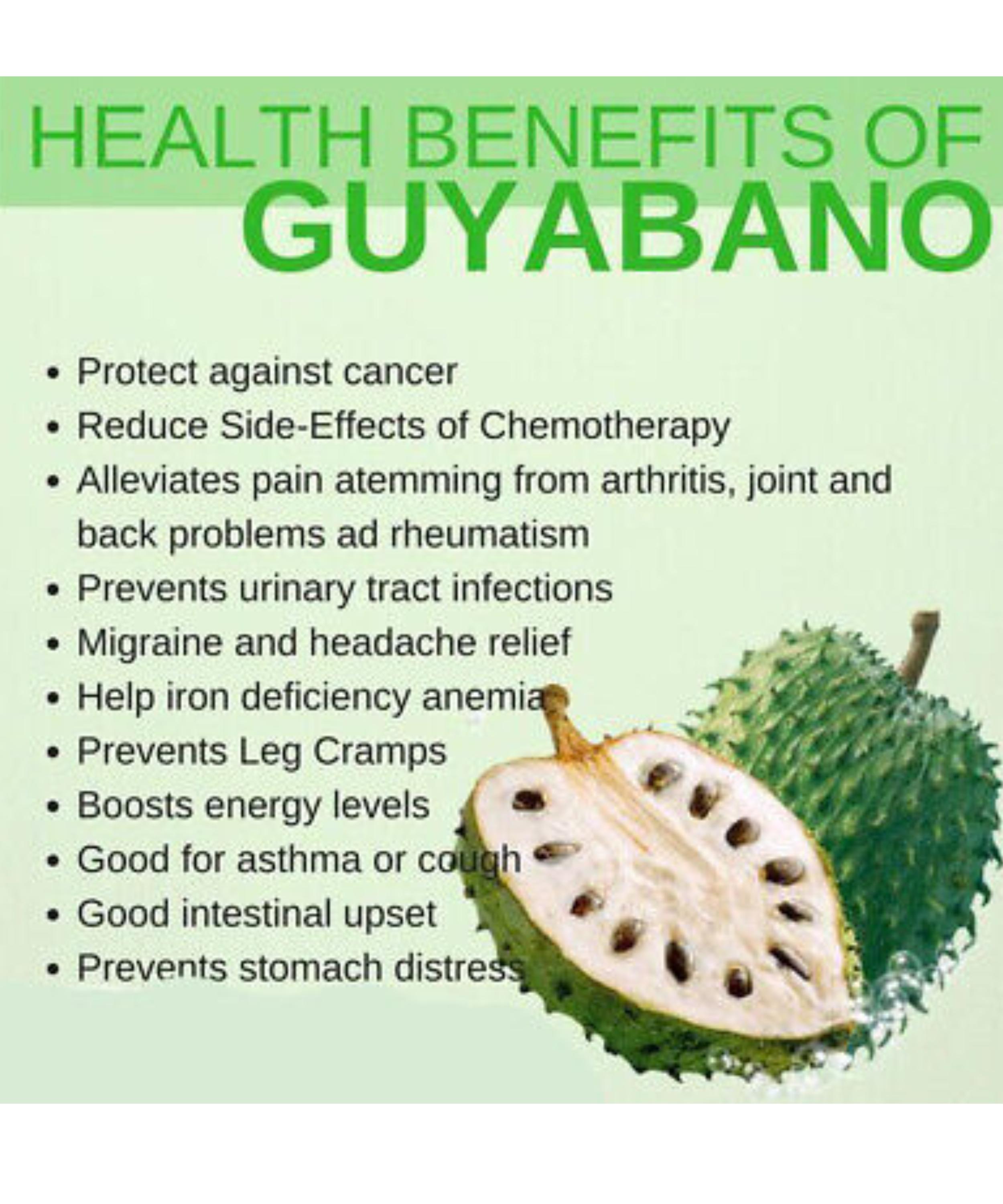 Beneficios de la fruta de Guyabano para la salud, rejuvenecimiento celular y curación del cáncer. Frutas que combaten el cáncer.