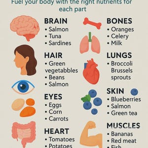Op de afbeelding: Infographic getiteld "Beste voedingsmiddelen voor je lichaam" met illustraties van lichaamsdelen en voedingsaanbevelingen. Bevat hersenen, haar, ogen, hart, darmen, botten, longen, huid en spieren met voedingsmiddelen zoals zalm en bosbessen.