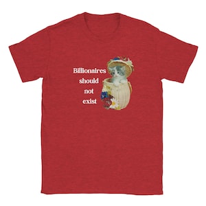 May include: Red t-shirt with the text "Billionaires should not exist." The shirt features a graphic of a kitten in a basket wearing a hat. The kitten is white and gray, and the basket is decorated with flowers.