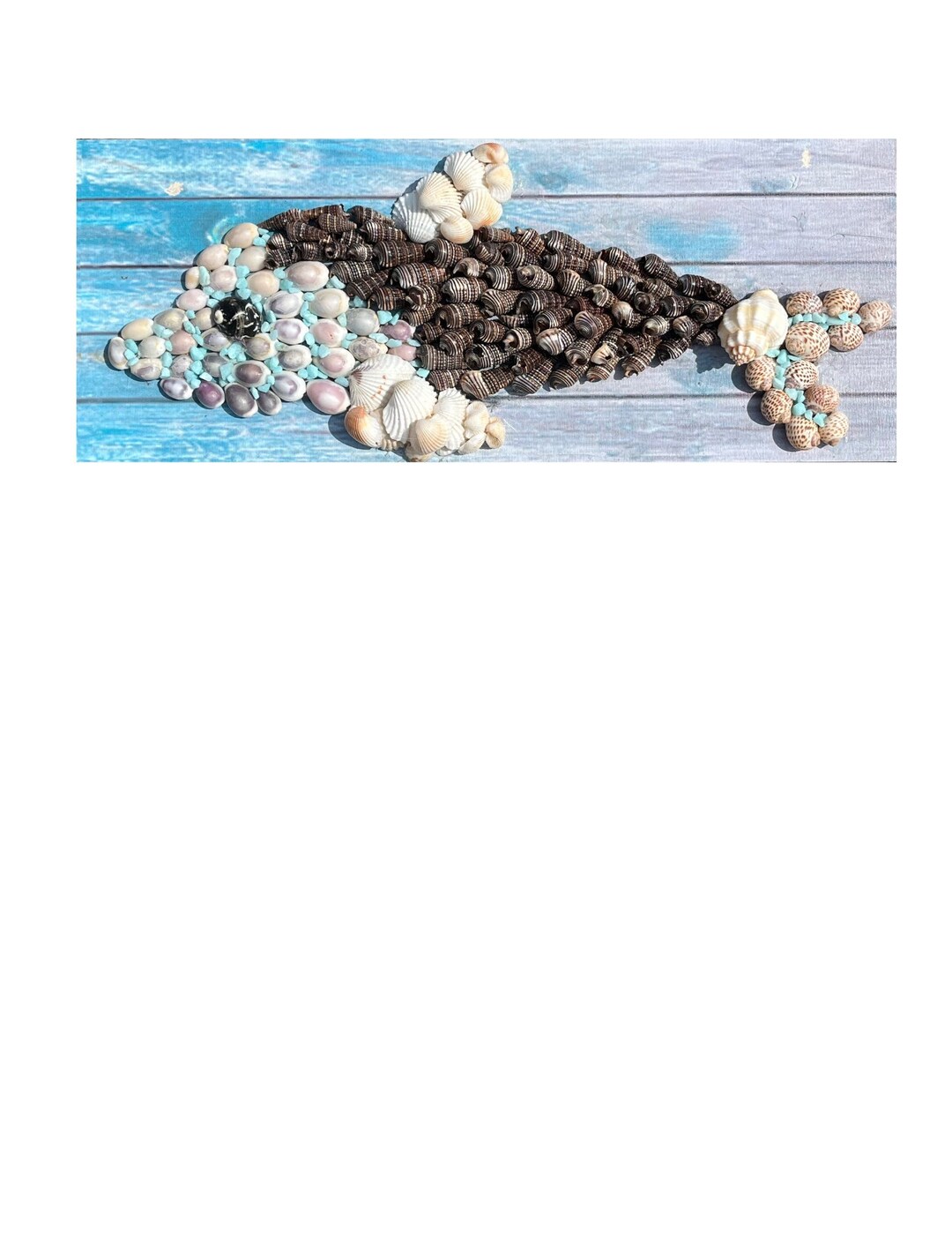 SEASHELL DOLPHIN, DOLPHIN Shell Wall Hanging, Dolphin Wall Art, Shell ...