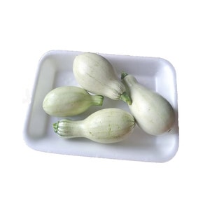 Nicaraguan pipian summer squash (white cushaw) seeds semillas
