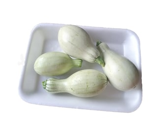 Nicaraguan pipian summer squash (white cushaw) seeds semillas