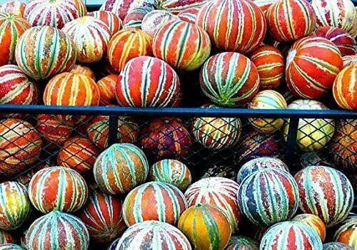 Kajari melon - Etsy 日本