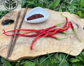 Thunder mountain longhorn hot pepper seeds
