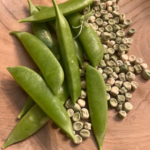 Sugar-snap pea seeds