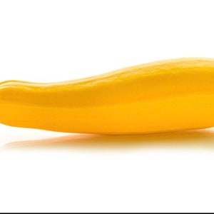 Golden zucchini seeds