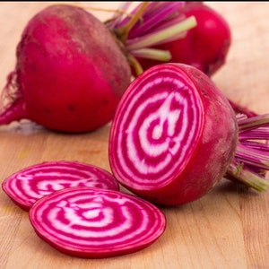 Chiogia beet (candy cane beet) seeds