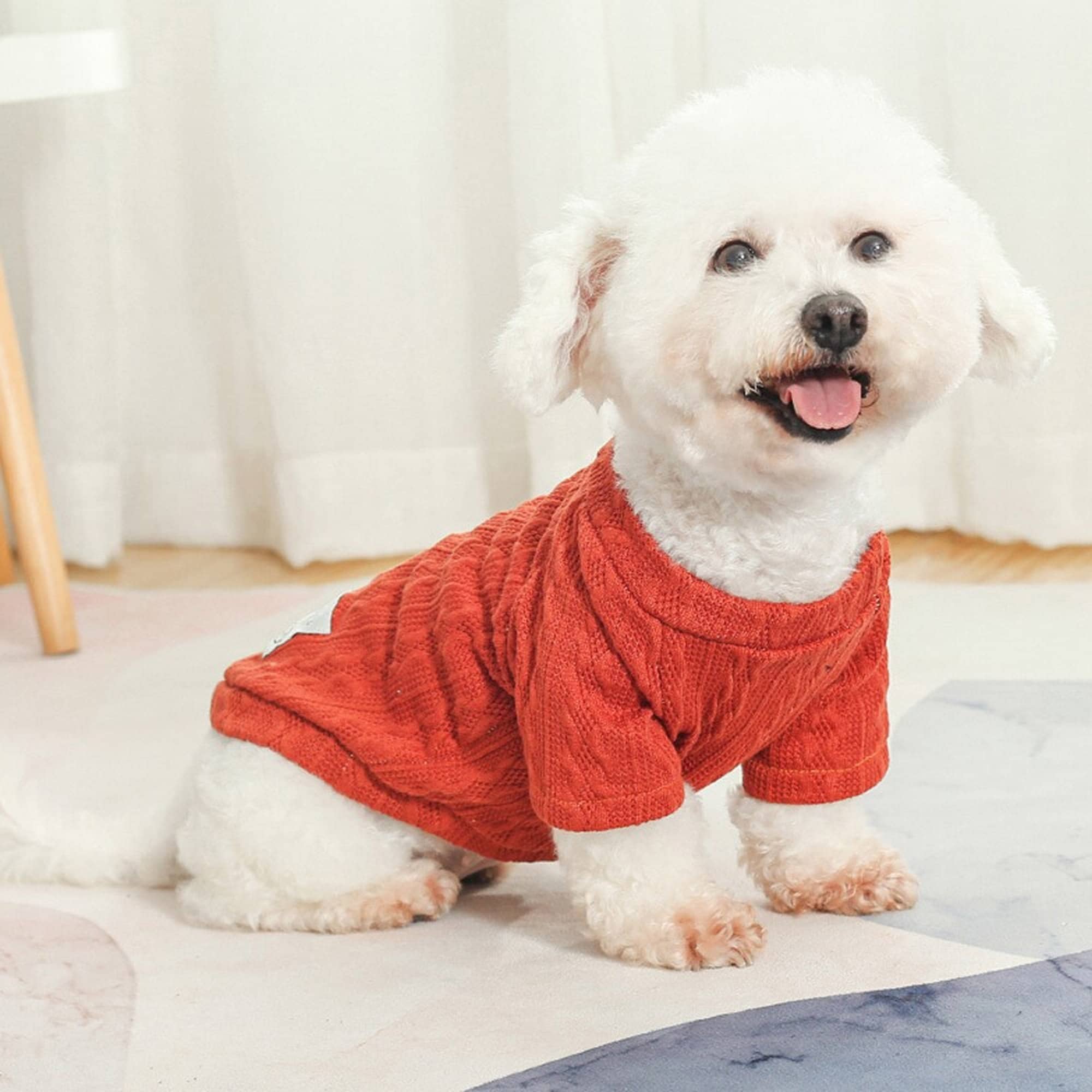 Source DIY Wholesale Fashion Cute Pet Sweater New Style cheap