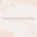 SmallBusinessVisions