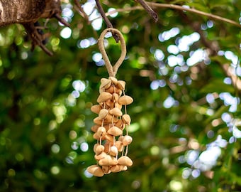 Sarveda Kenari Seed Shell Musical Shaker | Perfect for Sound healing and Musical Ceremonies | Sound of Rain and Water