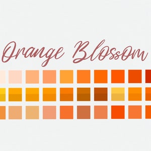 Oranjebloesem - Procreate Kleurenpalet