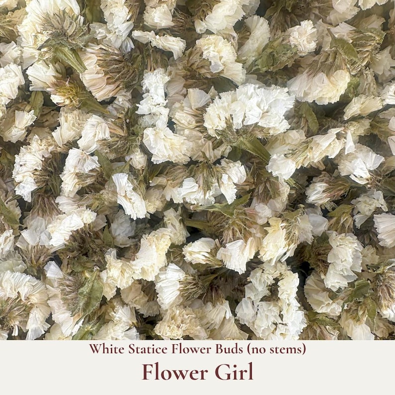 Flower Girl wedding confetti is our biodegradable all-natural blend of dried statice flowers which is perfect for infusing your special day with a magical and fragrant atmosphere. Elevate the role of your flower girls with our dried flower confetti, perfect for adding a sprinkle of magic to their walk down the aisle. Whether it's tossing as confetti, decorating tables, or adorning the wedding aisle, our versatile blend of dried flower petals adds a touch of something magical to every moment.