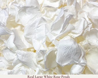 1 Litre Biodegradable Wedding Confetti - White Rose Petals - Dried Flower Confetti - Flower Girl Basket - Aisle Decor - Wedding Decorations
