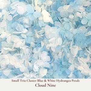 Cloud Nine is our elegant small cornflower blue and white dainty trio clusters of hydrangea petal wedding confetti. These small cluster hydrangea confetti petals will shower the Bride and Groom like dainty little butterflies. Ideal for scattering during your ceremony exit, decorating reception tables, or filling confetti cones, these pristine white petals add a sophisticated flair to any wedding theme. Our wedding confetti is a delicate beautifully floating high-quality hydrangea petal.