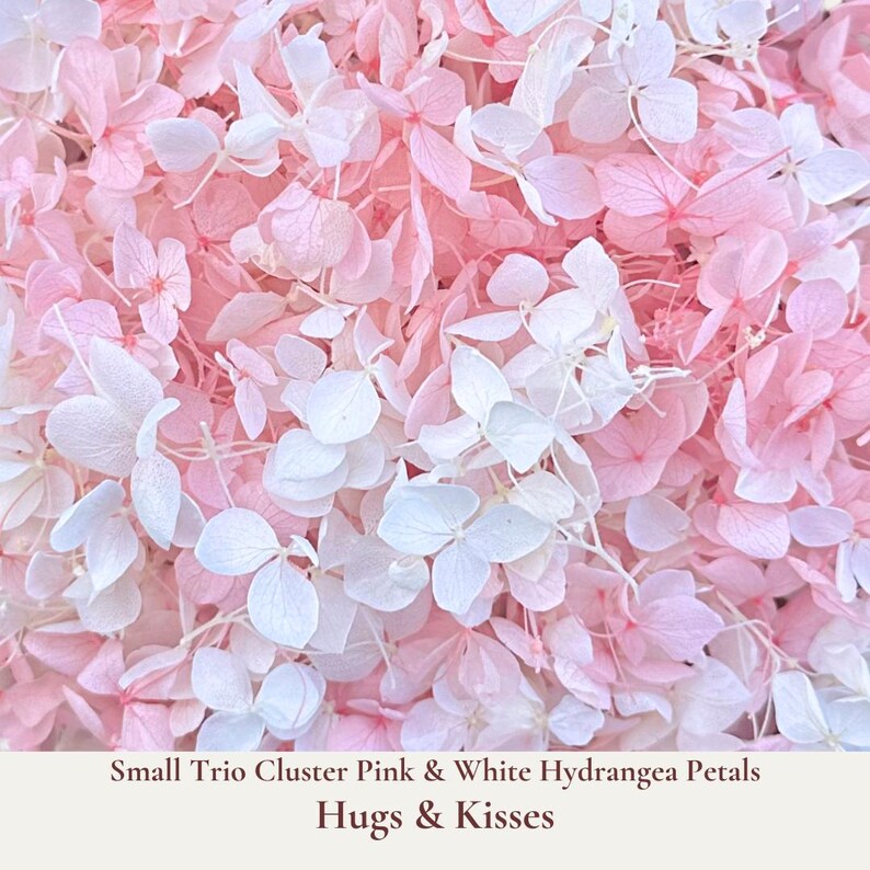 Hugs and Kisses wedding confetti is our pink and white small trio hydrangea petal clusters ideal for adorning wedding aisle's, showering the bride and groom during your ceremony exit, decorating reception tables, or filling confetti cones. Our bulk dried flower wedding confetti made from biodegradable eco friendly and sustainable all natural flower petals. Comes packed in re-sealable moisture proof 1 litre or 5 litre pouches depending upon your order quantity. Fast order delivery worldwide.
