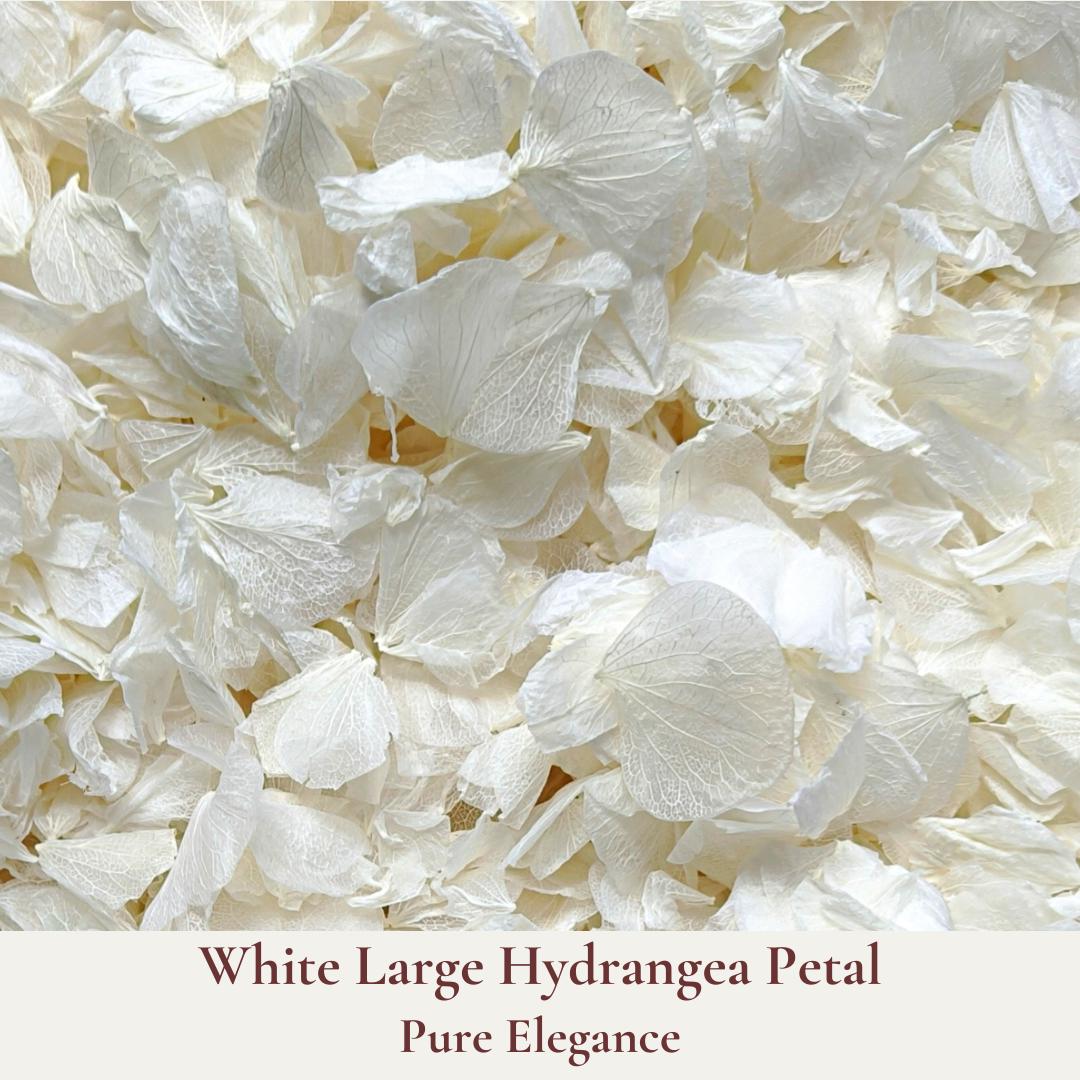 1L Large Hydrangea Petal Wedding Confetti - Biodegradable Confetti - Real Flower Confetti - Flower Girl Basket Petals - Rustic Wedding Decor