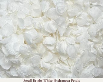 1L Bright White Dried Flower Wedding Confetti - Hydrangea Biodegradable Confetti - Dried Flower Confetti - Flower Girl - Wedding Decorations