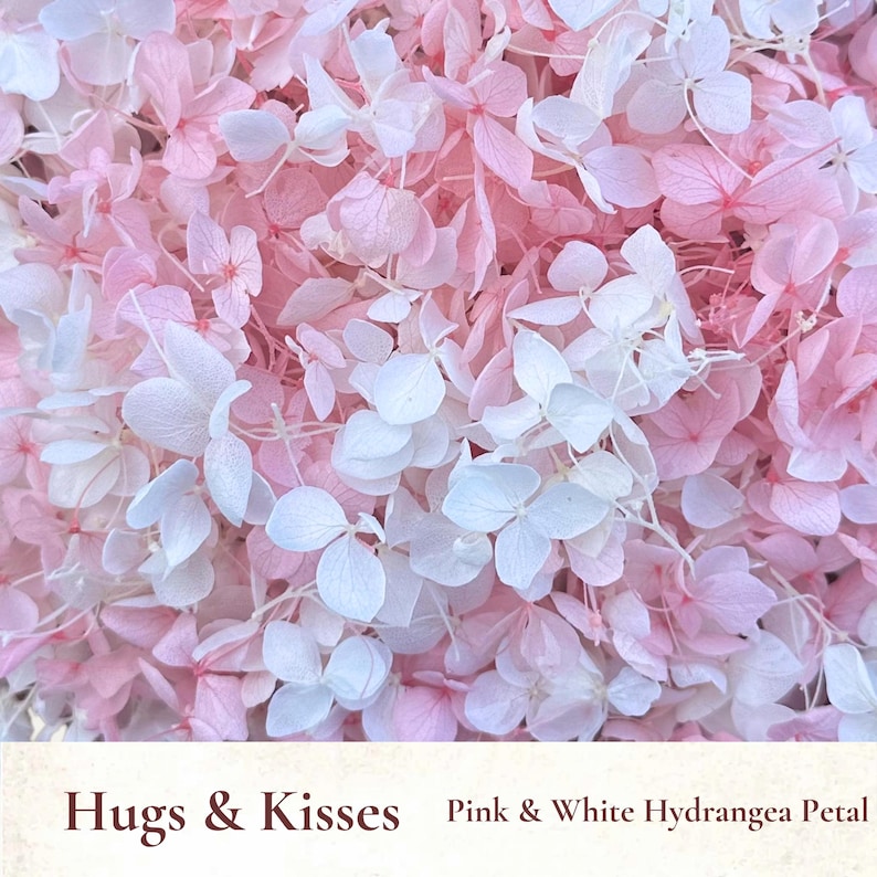 510L Dried Flowers Petal Wedding Confetti Bulk Biodegradable Confetti