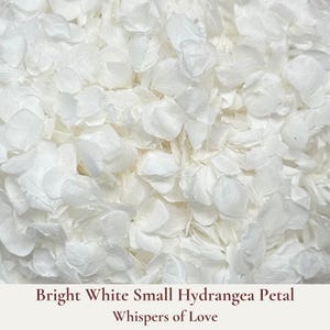 1L Bright White Dried Flower Wedding Confetti - Hydrangea Biodegradable Confetti - Dried Flower Confetti - Flower Girl - Wedding Decorations