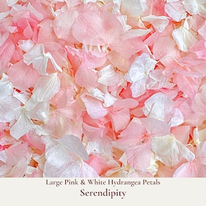 Serendipity is our luxurious pale pink and white large hydrangea petals Ideal for your Flower Girl to adorn your wedding aisle or for your guests to toss during your ceremony exit. Floats like snow gently falling as blessings of love upon the newly-weds. Eco-friendly and biodegradable, our hydrangea confetti ensures a beautiful, guilt-free celebration that respects nature. Our bulk dried flower wedding confetti made from biodegradable eco friendly and sustainable all natural flower petals.