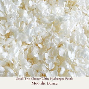 1 Litre White Wedding Confetti - Small Dainty Trio Clusters of Hydrangea Petal - Biodegradable Confetti - Real Flower Petals - Wedding Decor