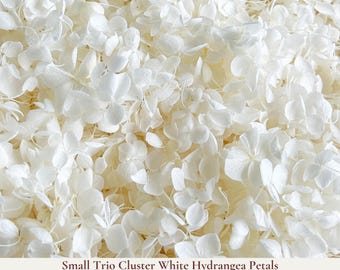 1 Litre White Wedding Confetti - Small Dainty Trio Clusters of Hydrangea Petal - Biodegradable Confetti - Real Flower Petals - Wedding Decor
