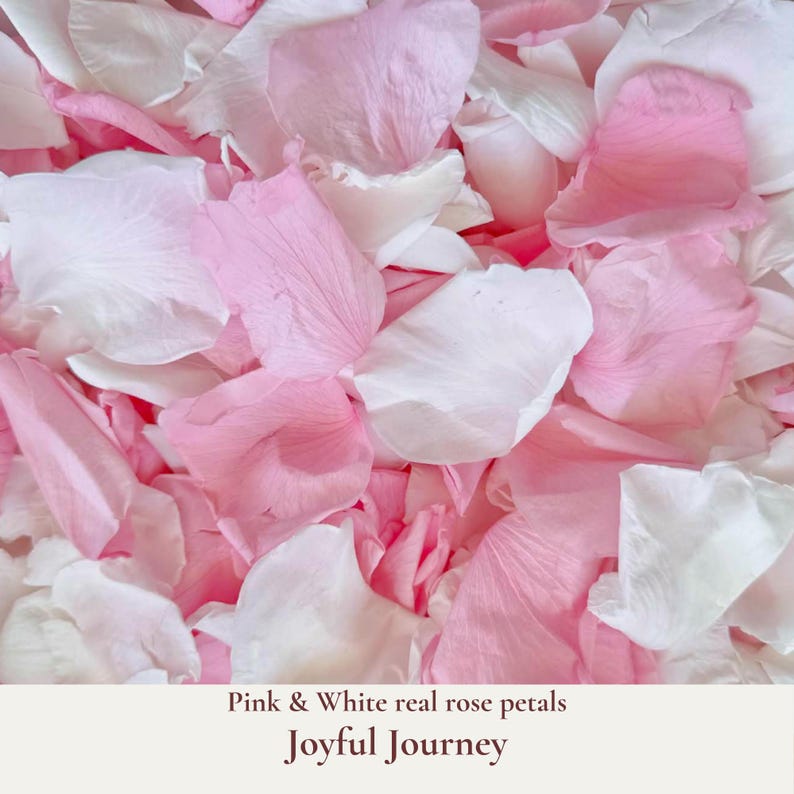 Joyful Journey is our luxurious large pink and white real rose petals for that prefect wedding aisle flower girl basket toss or for an elegant confetti photo shot of the Bride and Groom ceremony exit.  Adorn your aisle with beauty and elegance for that special entrance. Add a touch of elegance and romance to your special day with our large pink and white real rose petals. Ideal for your Flower Girl to adorn your wedding aisle or for your guests to toss during your ceremony exit.