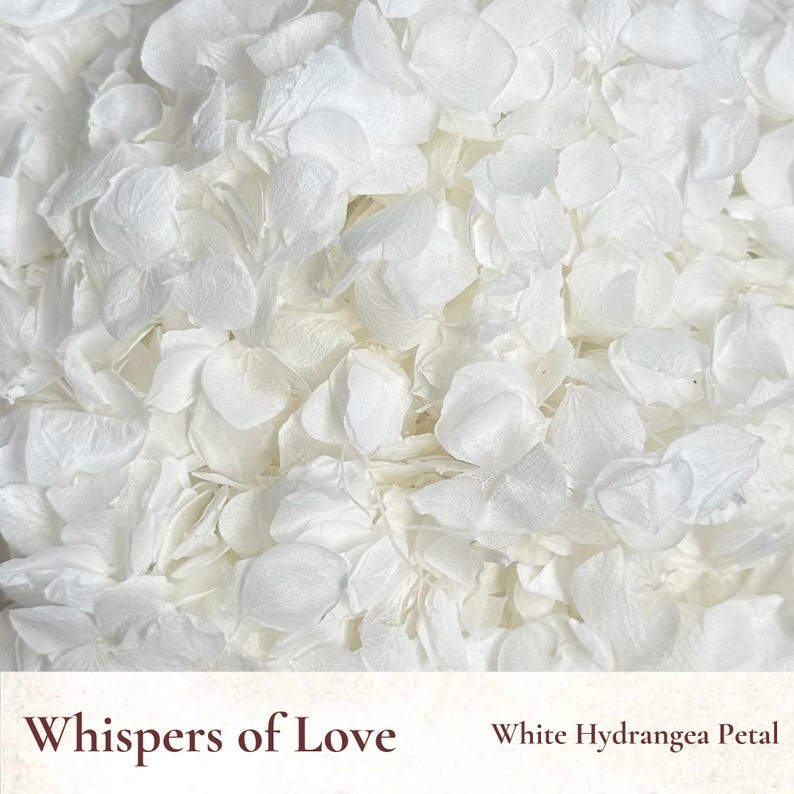 510L Dried Flowers Petal Wedding Confetti Bulk Biodegradable Confetti