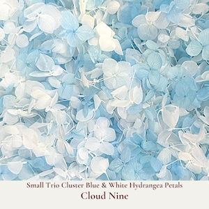 Cloud Nine is our elegant small cornflower blue and white dainty trio clusters of hydrangea petal wedding confetti. These small cluster hydrangea confetti petals will shower the Bride and Groom like dainty little butterflies. Ideal for scattering during your ceremony exit, decorating reception tables, or filling confetti cones, these pristine white petals add a sophisticated flair to any wedding theme. Our wedding confetti is a delicate beautifully floating high-quality hydrangea petal.