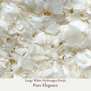Pure Elegance is our luxurious white large leaf hydrangea petals ideal for your Flower Girl to adorn your wedding aisle or for elegant confetti photo shot of the Bride and Groom during ceremony exit.  Floats like snow gently falling as blessings of love upon the newly-weds. Add a touch of elegance and romance to your special day with our bright white hydrangea petals. These pristine white petals will add a sophisticated flair to any wedding theme.