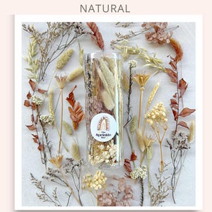 May include: A clear glass jar filled with dried flowers and foliage in shades of beige, brown, and white. The jar is labeled "The Sprinkle Bar" with a rainbow design. The jar is surrounded by dried flowers and foliage on a white background.