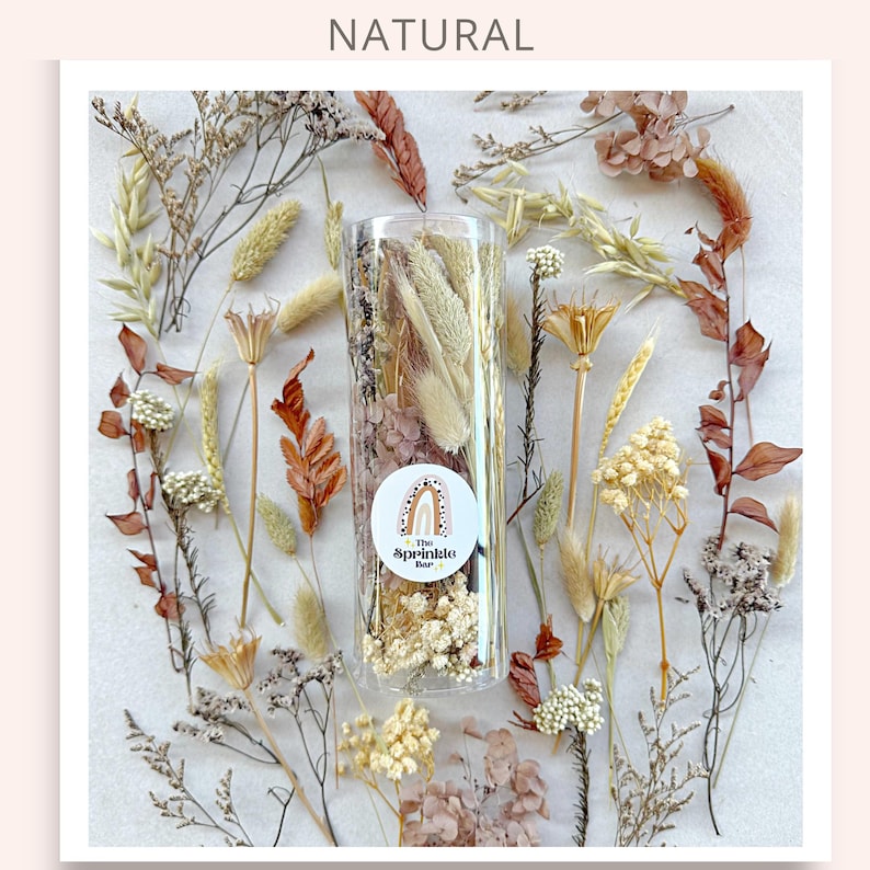 May include: A clear glass jar filled with dried flowers and foliage in shades of beige, brown, and white. The jar is labeled "The Sprinkle Bar" with a rainbow design. The jar is surrounded by dried flowers and foliage on a white background.