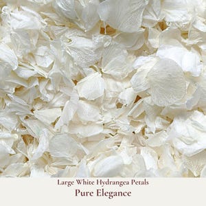 Confettis de mariage grandes pétales d'hortensia, 1 L, confettis biodégradables, confettis de vraies fleurs, pétales de corbeille de demoiselles d'honneur, décoration de mariage rustique