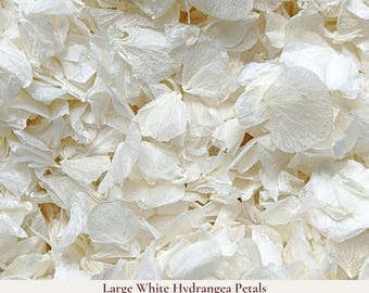 Confeti de hortensias grandes de 1 litro para bodas - Confeti biodegradable - Confeti de flores naturales - Pétalos para cestas de niñas de las flores - Decoración rústica para bodas