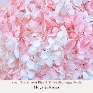 Hugs and Kisses wedding confetti is our pink and white small trio hydrangea petal clusters ideal for adorning wedding aisle's, showering the bride and groom during your ceremony exit, decorating reception tables, or filling confetti cones. Our bulk dried flower wedding confetti made from biodegradable eco friendly and sustainable all natural flower petals. Comes packed in re-sealable moisture proof 1 litre or 5 litre pouches depending upon your order quantity. Fast order delivery worldwide.