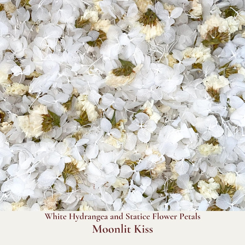 Moonlit Kiss is our small white hydrangea petals and white statice flower bud confetti blend and is a biodegradable all-natural blend of dried flowers. Ideal for tossing during your ceremony exit or filling confetti cones for an elegant confetti shower photo shot of the Bride and Groom ceremony exit. Eco-friendly and biodegradable, our hydrangea and statice flower confetti ensures a beautiful, guilt-free celebration that respects nature.