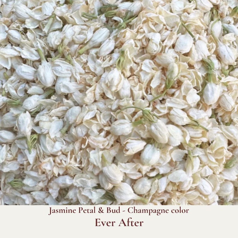 Ever After is our wedding confetti blend of champagne coloured dried jasmine petals and buds which is ideal for tossing during your ceremony exit or filling confetti cones. These dried jasmine petals are a boho alternative wedding theme. Eco-friendly and biodegradable, our real jasmine dried flower confetti ensures a beautiful, guilt-free celebration that respects nature. Our bulk dried flower wedding confetti made from biodegradable eco friendly and sustainable all natural flower petals.