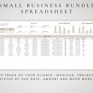 May include: A spreadsheet template for small businesses to track clients, invoices, projects, and status by due date, amount, and more. The spreadsheet includes tabs for client information, industry breakdown, and job title breakdown.