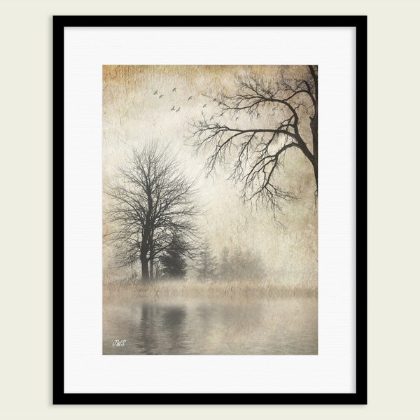 Reeds. Reed beds in a lake with reflections of trees in water. Nature in winter. Landscape picture. Wall decor. JohnSullivanArt.