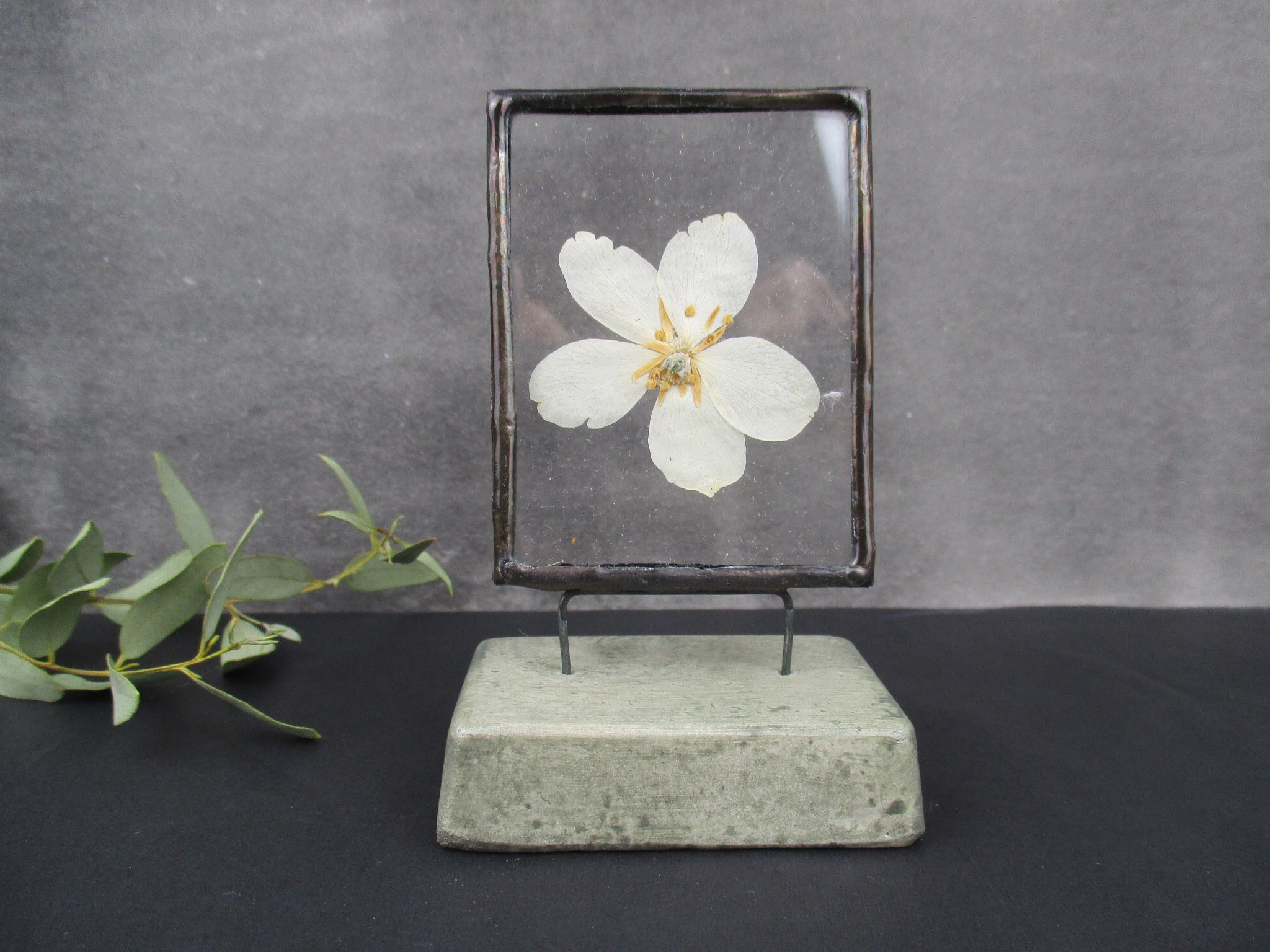 Dried Flower Specimen Decorative Frame - Wood - Intricate Design