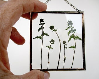 Pressed young fern leaf in hanging glass frame with stained glass frame. Pressed flowers between glass. Framed flowers. Gift. LV117
