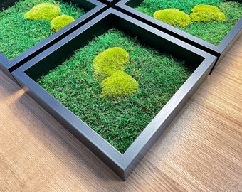 Moss Painting Picture 25x25 cm Black Frame