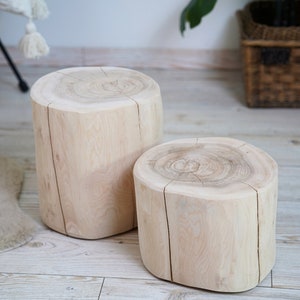 Könnte beinhalten: Zwei natürliche Holzstümpfe, einer größer als der andere, dienen als dekorative Beistelltische. Die Stümpfe sind hellbraun und haben eine glatte, polierte Oberfläche.