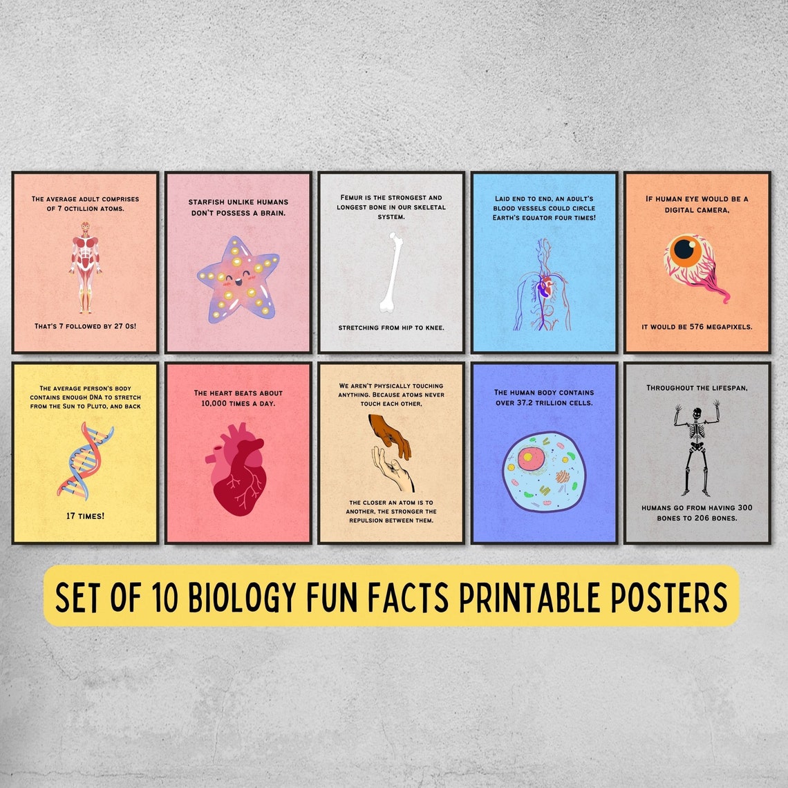 Set of 10 Biology Fun Facts Printable Posters Science - Etsy