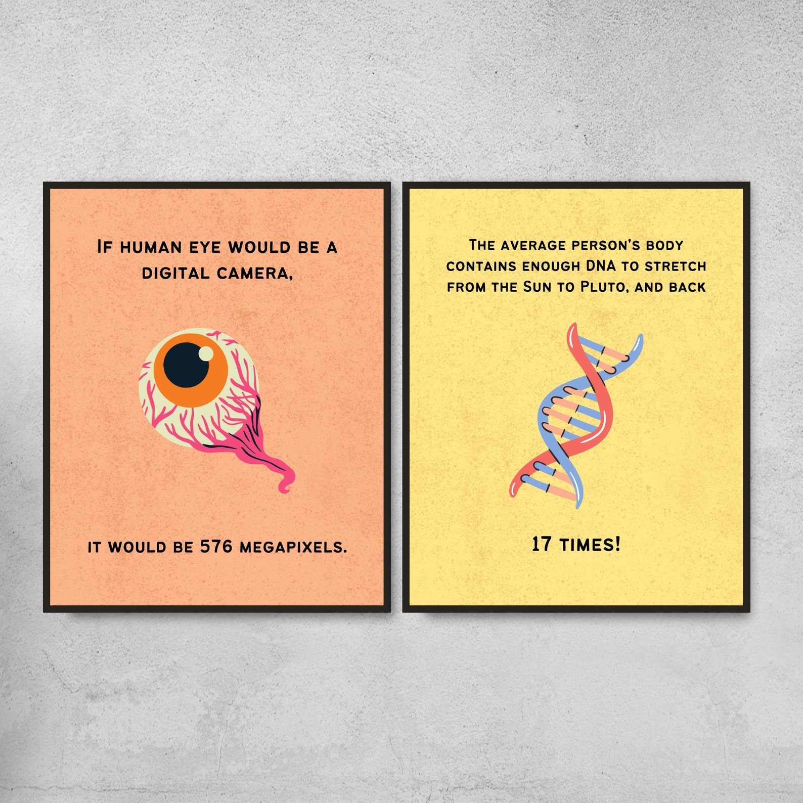 Set of 10 Biology Fun Facts Printable Posters Science Etsy