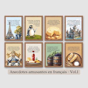 French fun facts posters in french, french class posters, educational classroom decor, middle and high school decor, french teacher gift