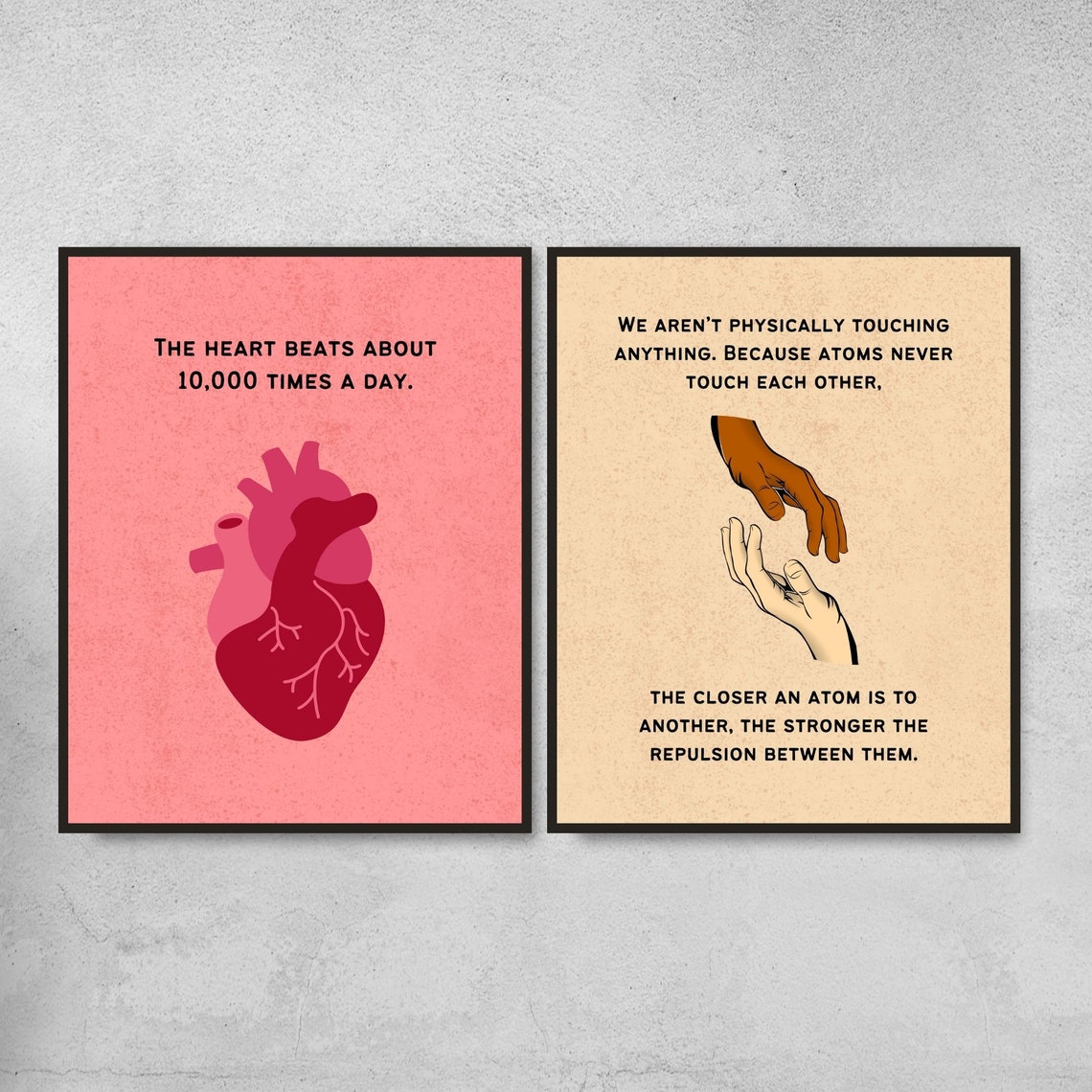 Set of 10 Biology Fun Facts Printable Posters, Science Classroom Decor